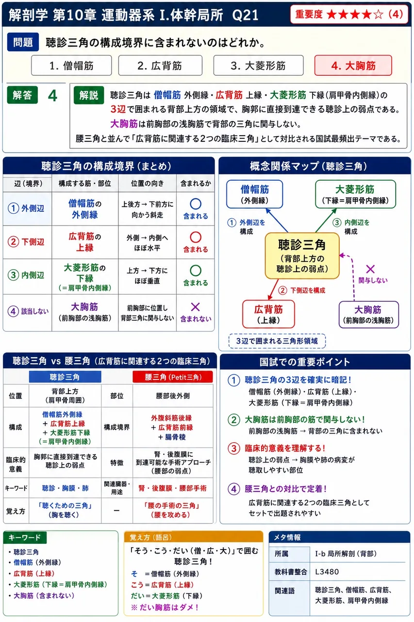 聴診三角の構成境界に含まれないのはどれか。 解説図