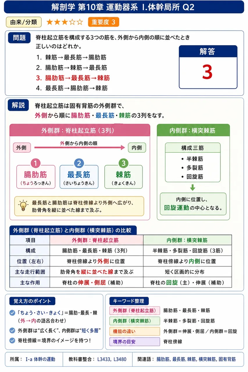 腰三角の別名と、この部位に好発する腹壁ヘルニアの名称の組合せとして正しいのはどれか。 解説図