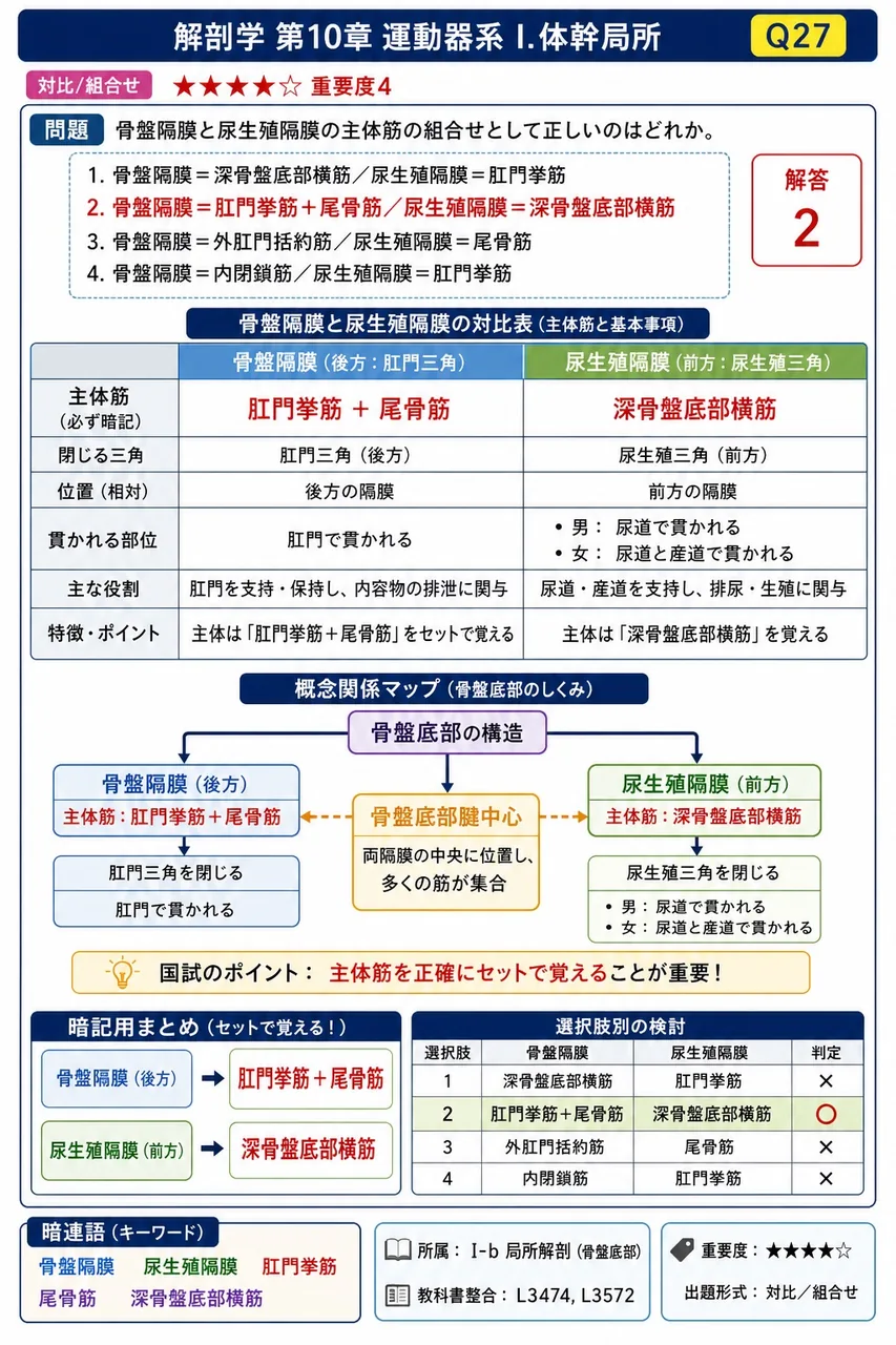 骨盤隔膜と尿生殖隔膜の主体筋の組合せとして正しいのはどれか。 解説図