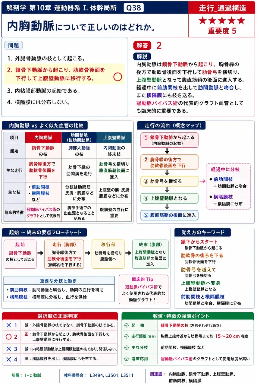 内胸動脈について正しいのはどれか。 解説図