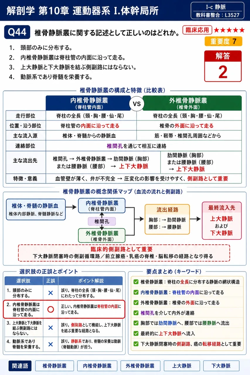 椎骨静脈叢に関する記述として正しいのはどれか。 解説図