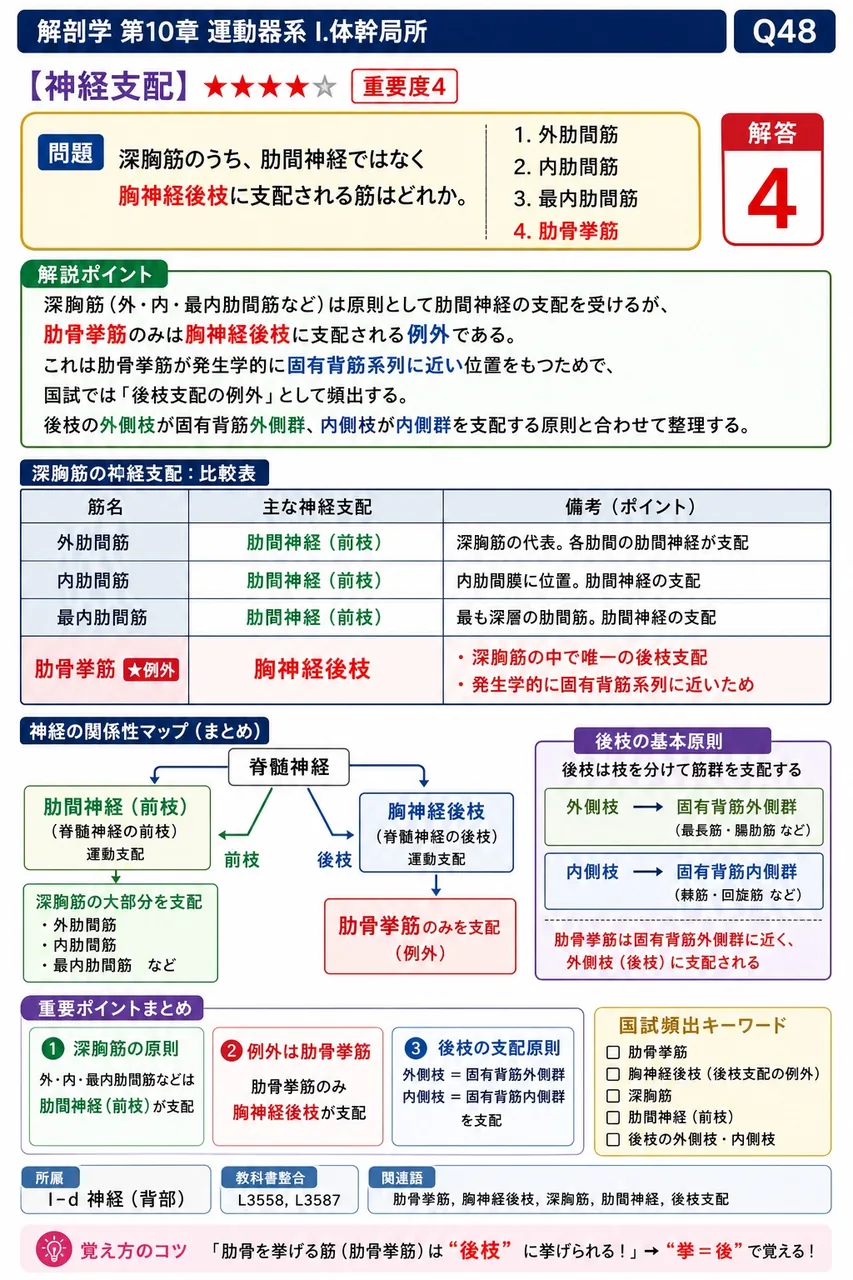深胸筋のうち、肋間神経ではなく胸神経後枝に支配される筋はどれか。 解説図
