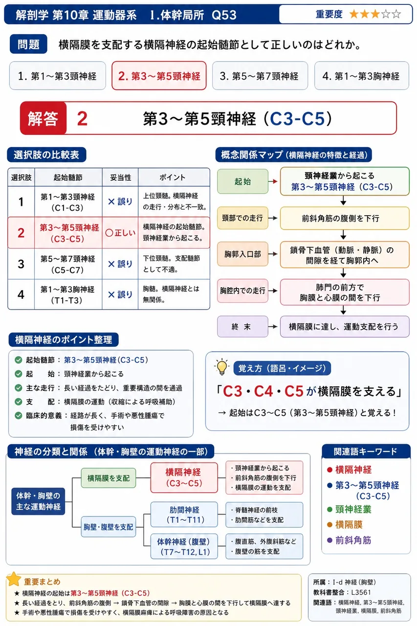 横隔膜を支配する横隔神経の起始髄節として正しいのはどれか。 解説図