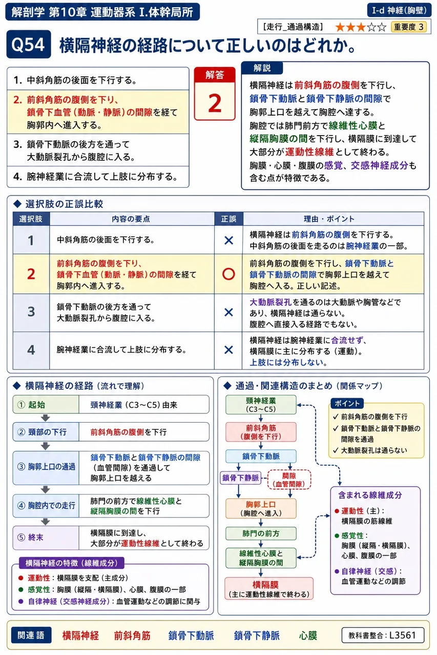 肋間神経の走行と臨床応用の組合せとして正しいのはどれか。 解説図