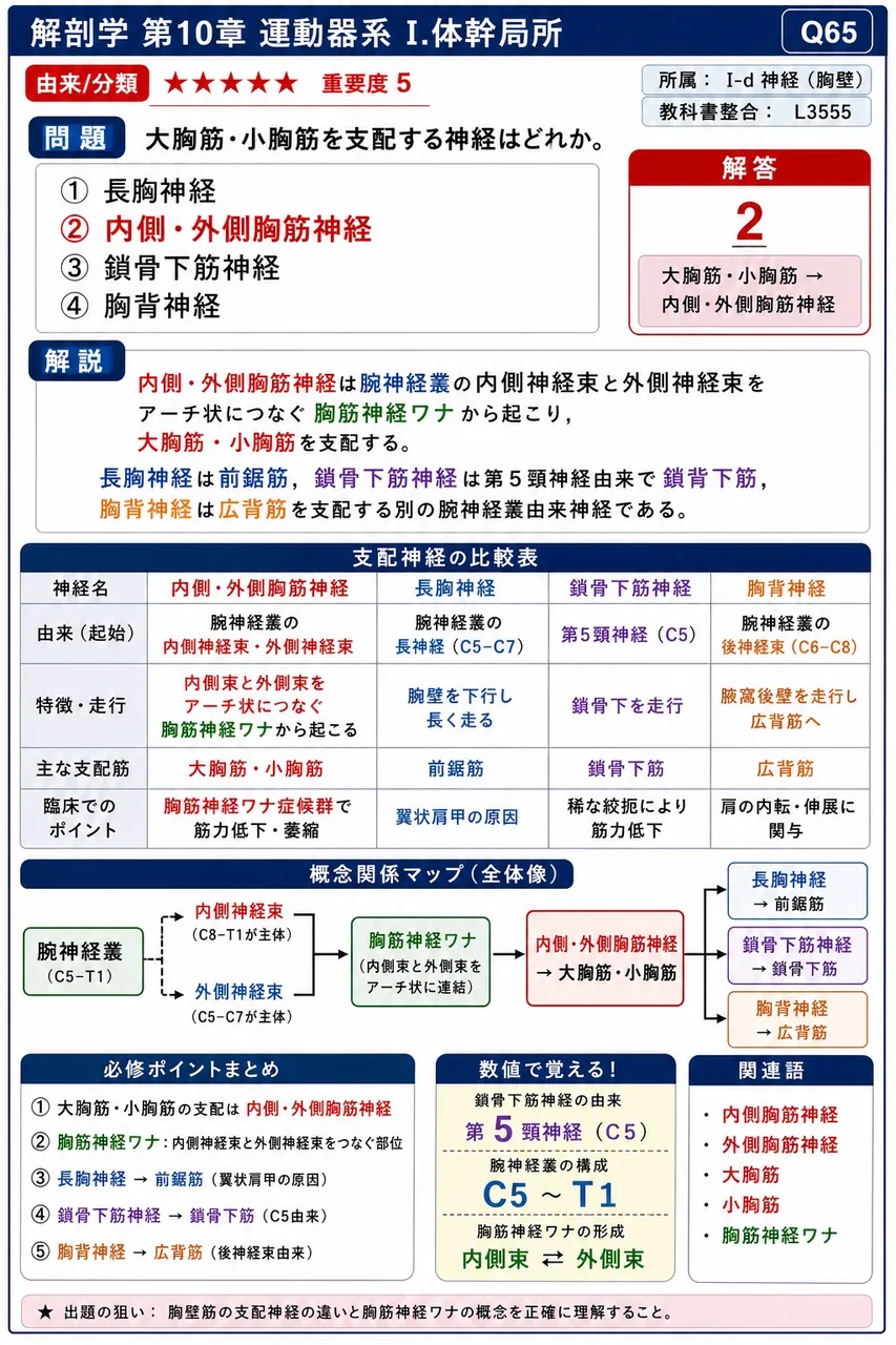大胸筋・小胸筋を支配する神経はどれか。 解説図