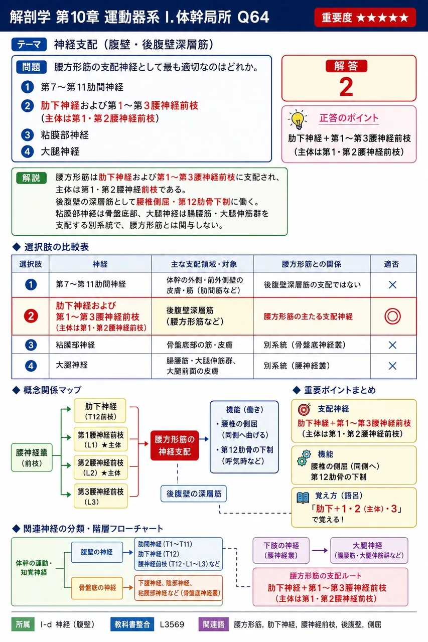 腰部・殿部の皮膚に分布する後枝由来の皮神経の組合せとして正しいのはどれか。 解説図