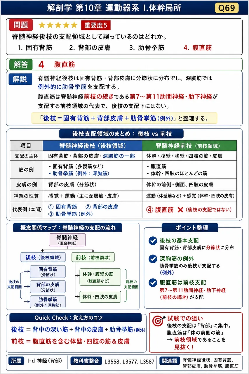 副神経が支配する筋の組合せとして正しいのはどれか。 解説図