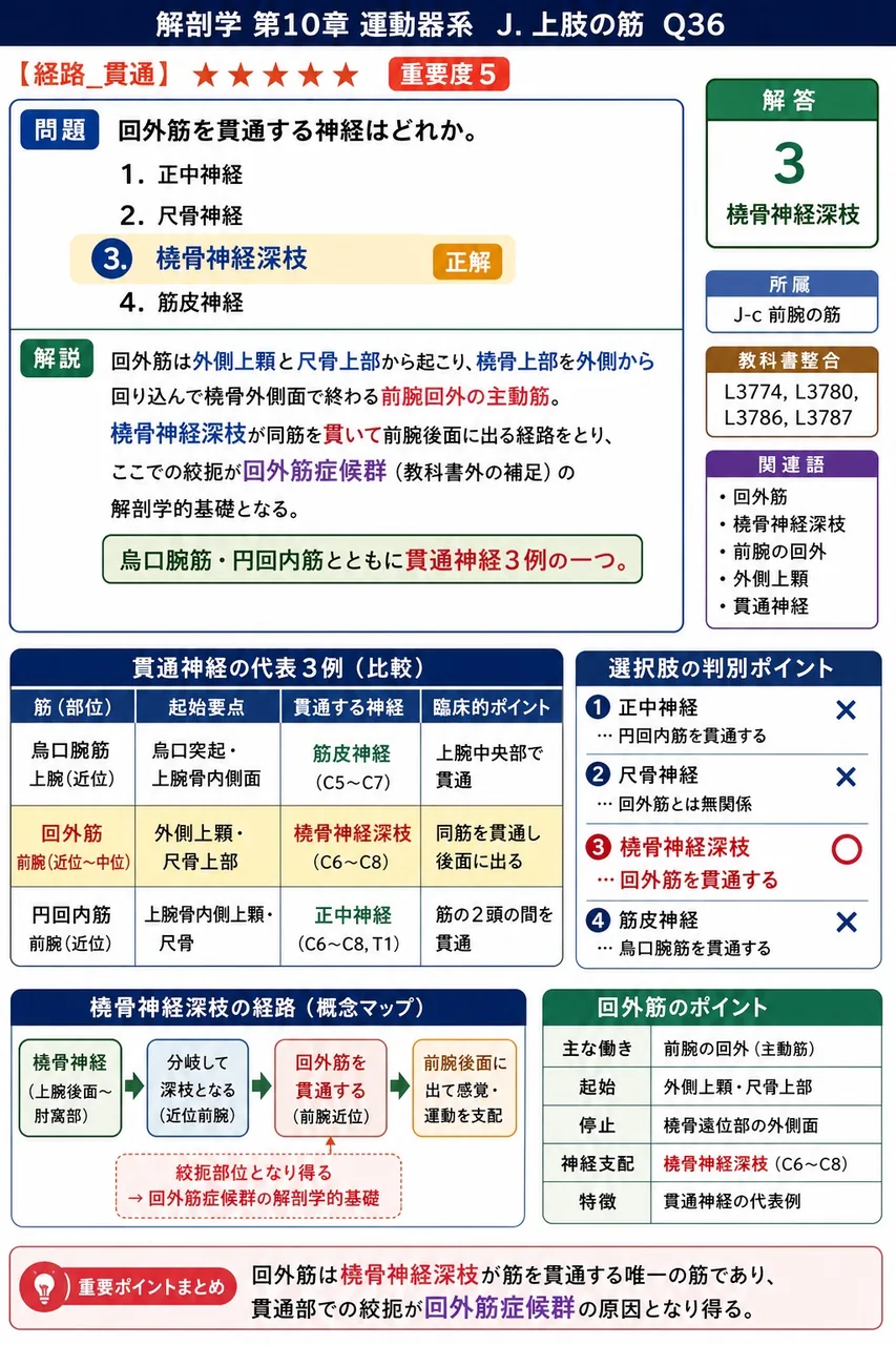 下垂位から肩関節の外転を始動させる筋はどれか。 解説図