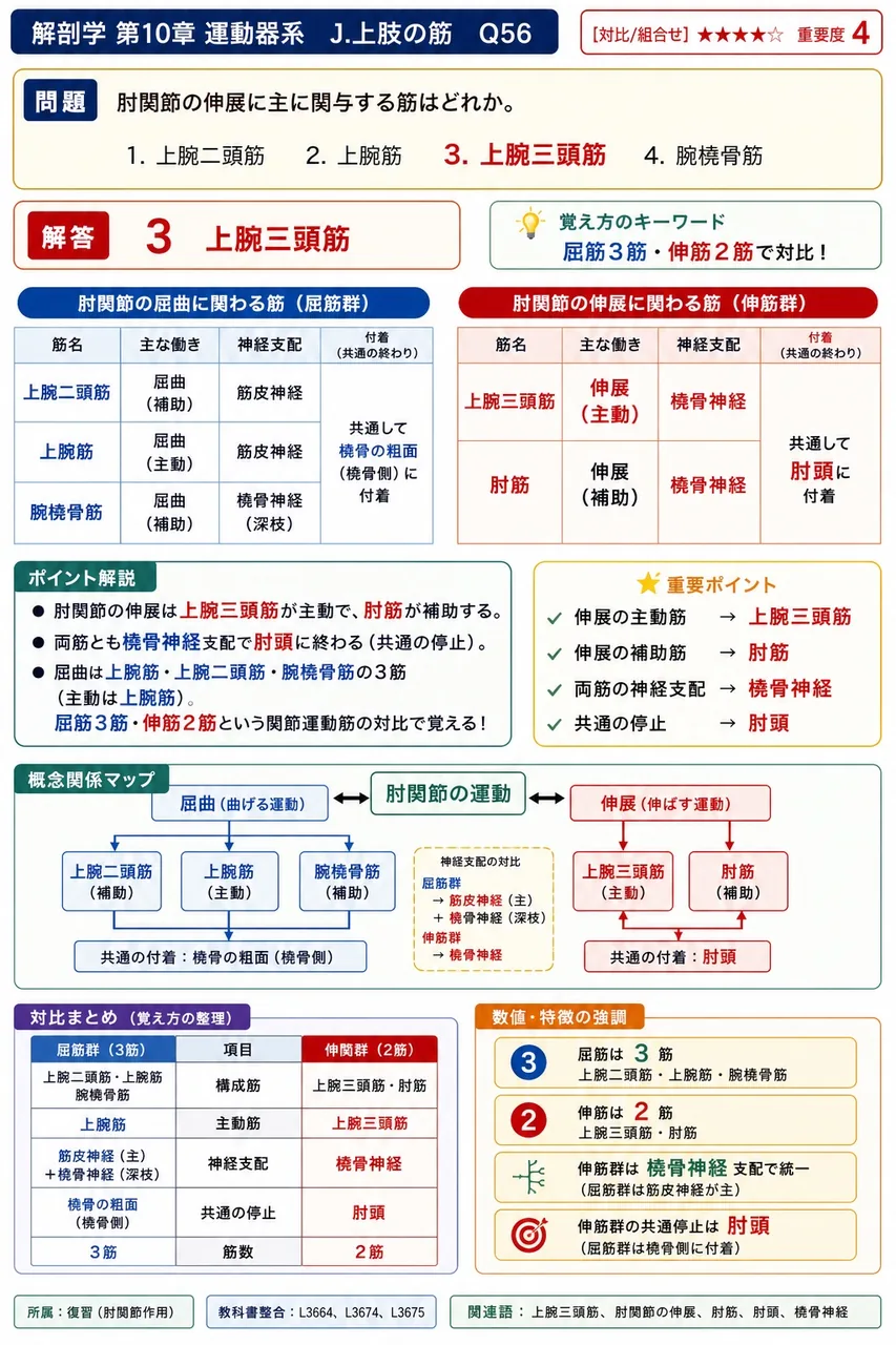 肩関節の外旋を行う筋として正しい組合せはどれか。 解説図