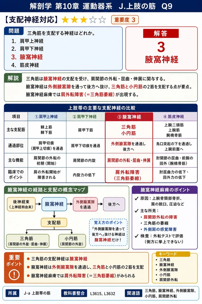 三角筋を支配する神経はどれか。 解説図