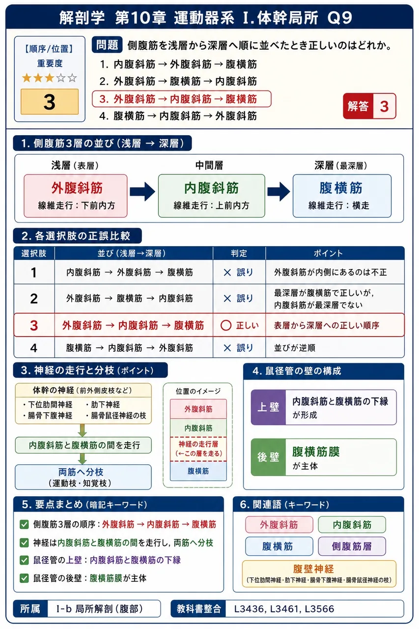 回旋筋腱板4筋の停止部について、上腕骨の小結節に停止するのはどれか。 解説図