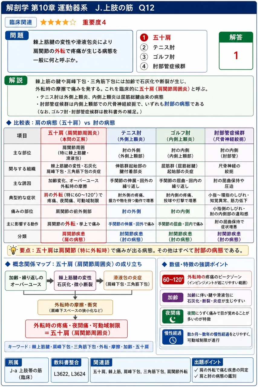 棘上筋腱の変性や滑液包炎により肩関節の外転で疼痛が生じる病態を一般に何と呼ぶか。 解説図