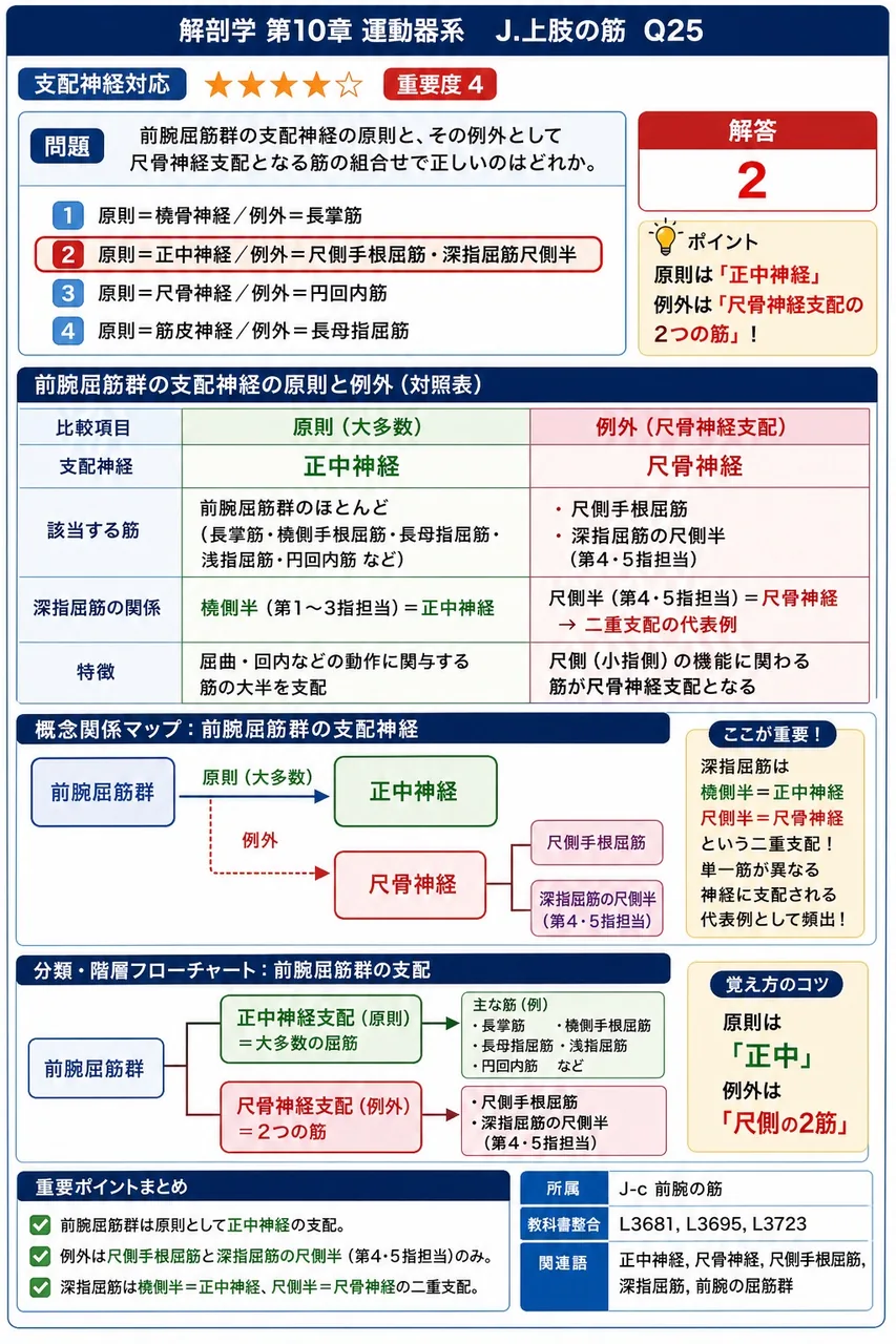 前腕屈筋群の支配神経の原則と、その例外として尺骨神経支配となる筋の組合せで正しいのはどれか。 解説図