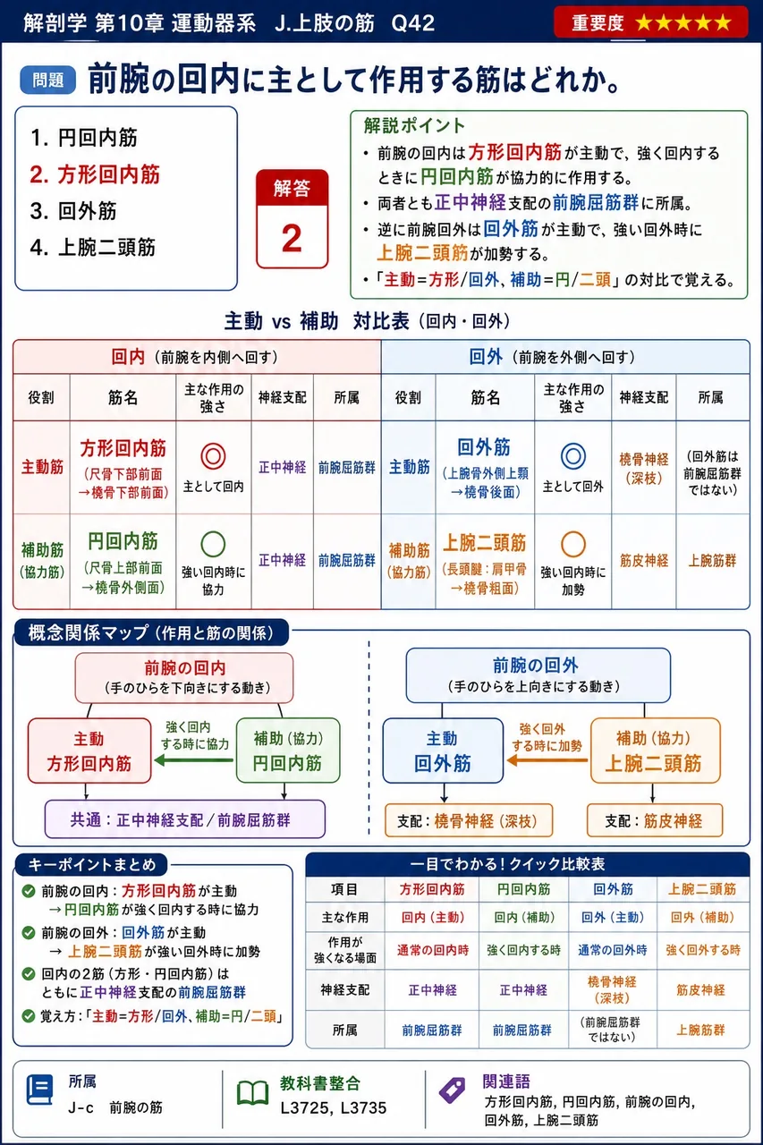 前腕の回内に主として作用する筋はどれか。 解説図