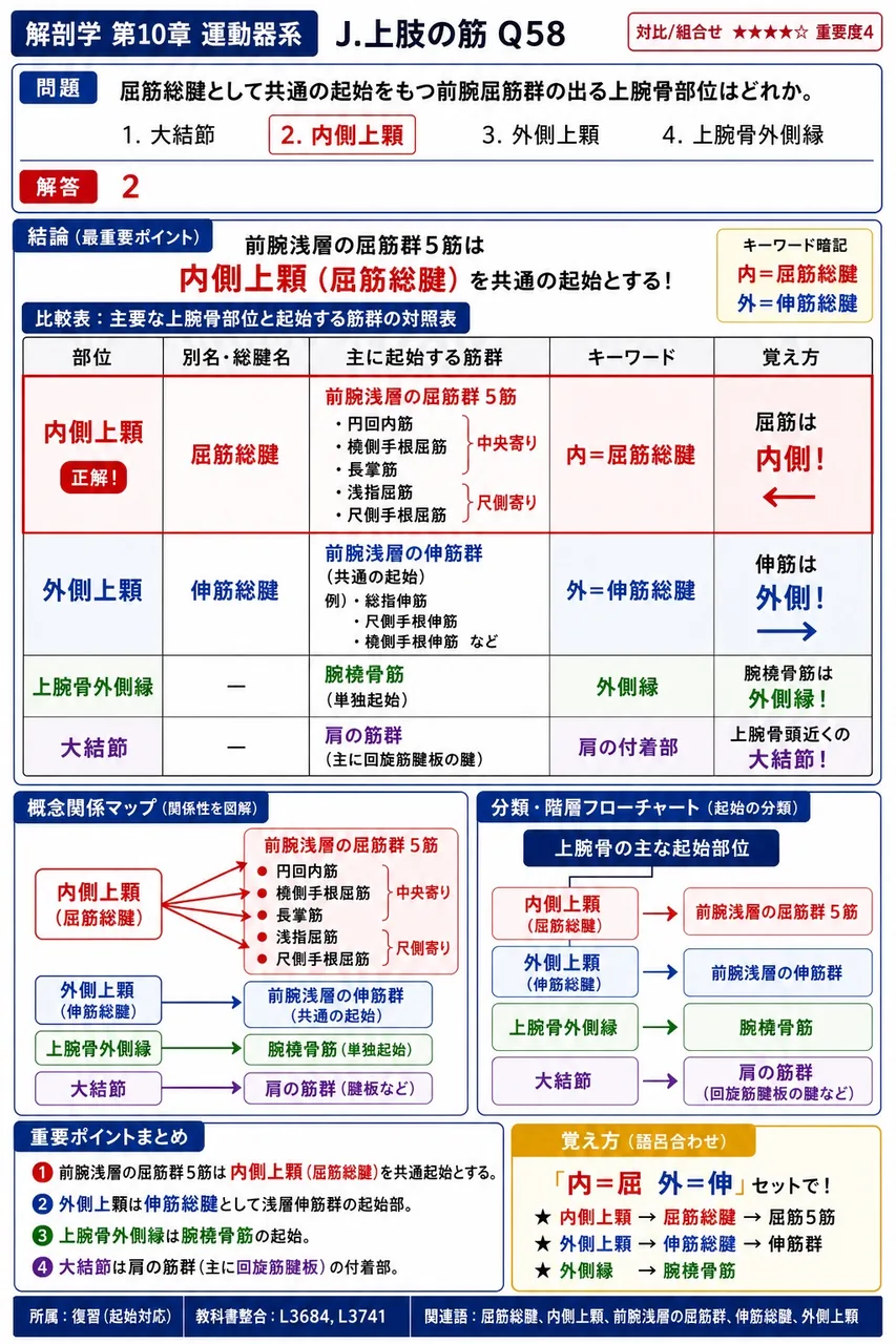 屈筋総腱として共通の起始をもつ前腕屈筋群の出る上腕骨部位はどれか。 解説図