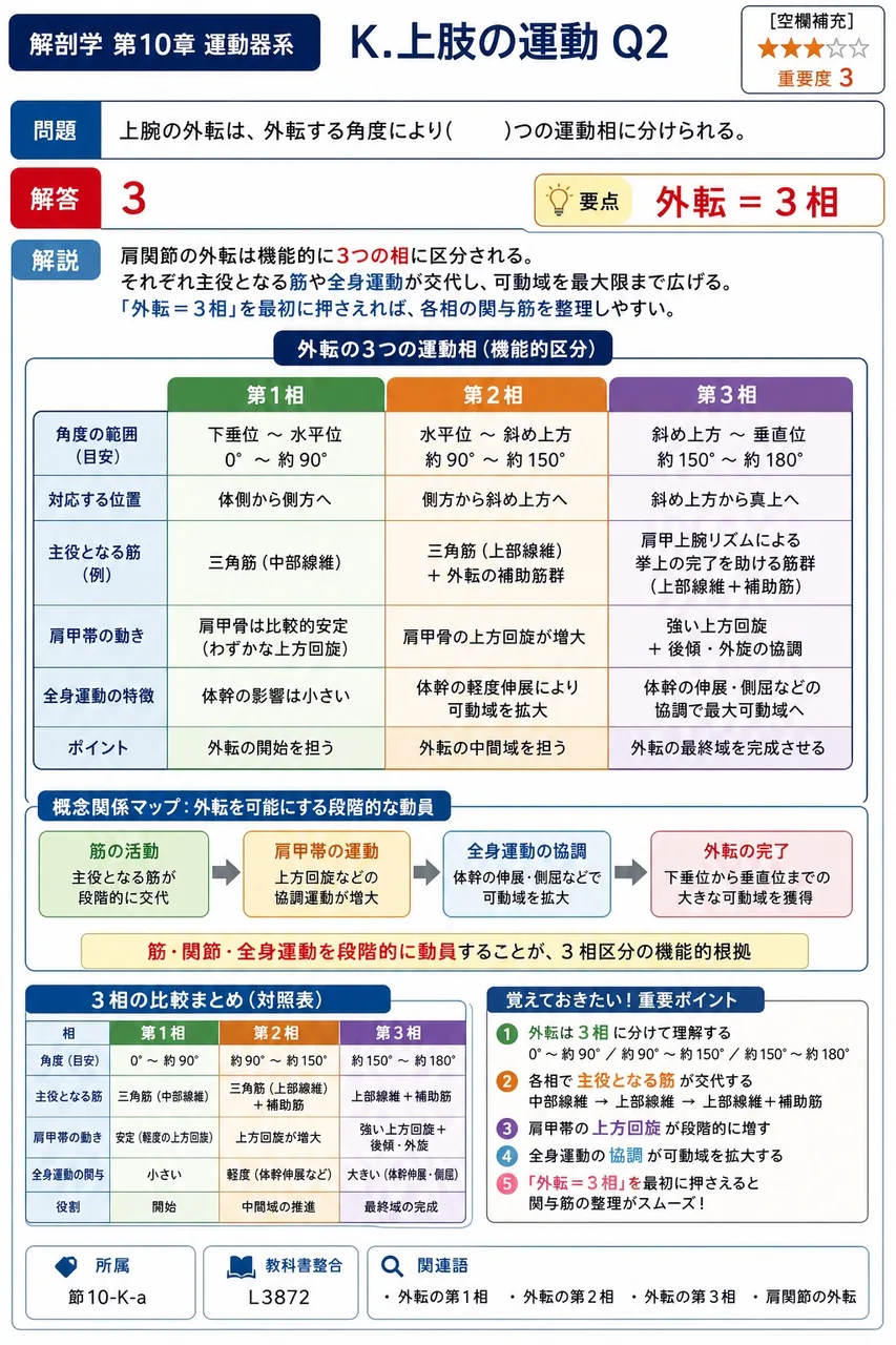 上腕の外転は、外転する角度により( )つの運動相に分けられる。 解説図