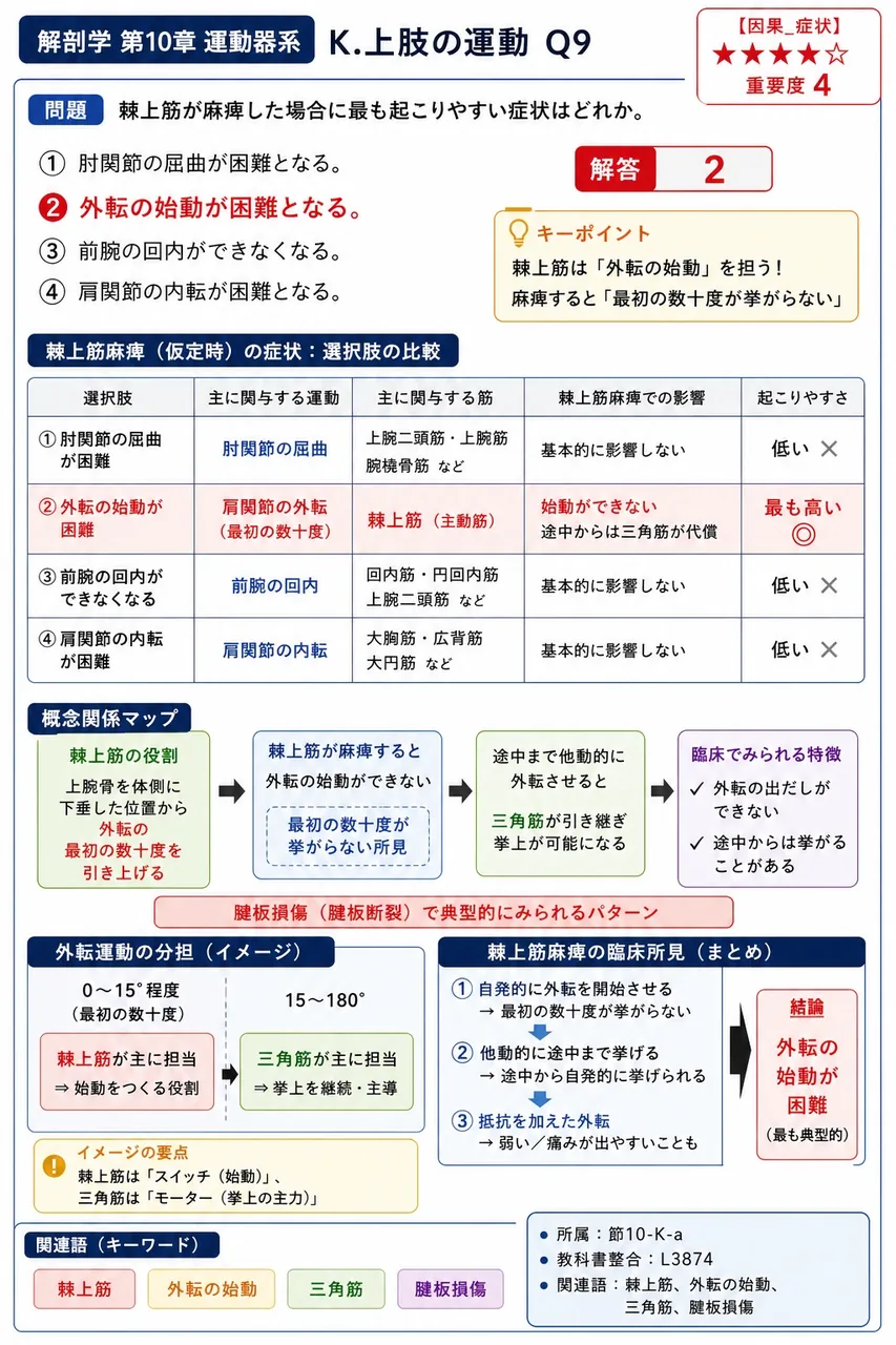 棘上筋が麻痺した場合に最も起こりやすい症状はどれか。 解説図
