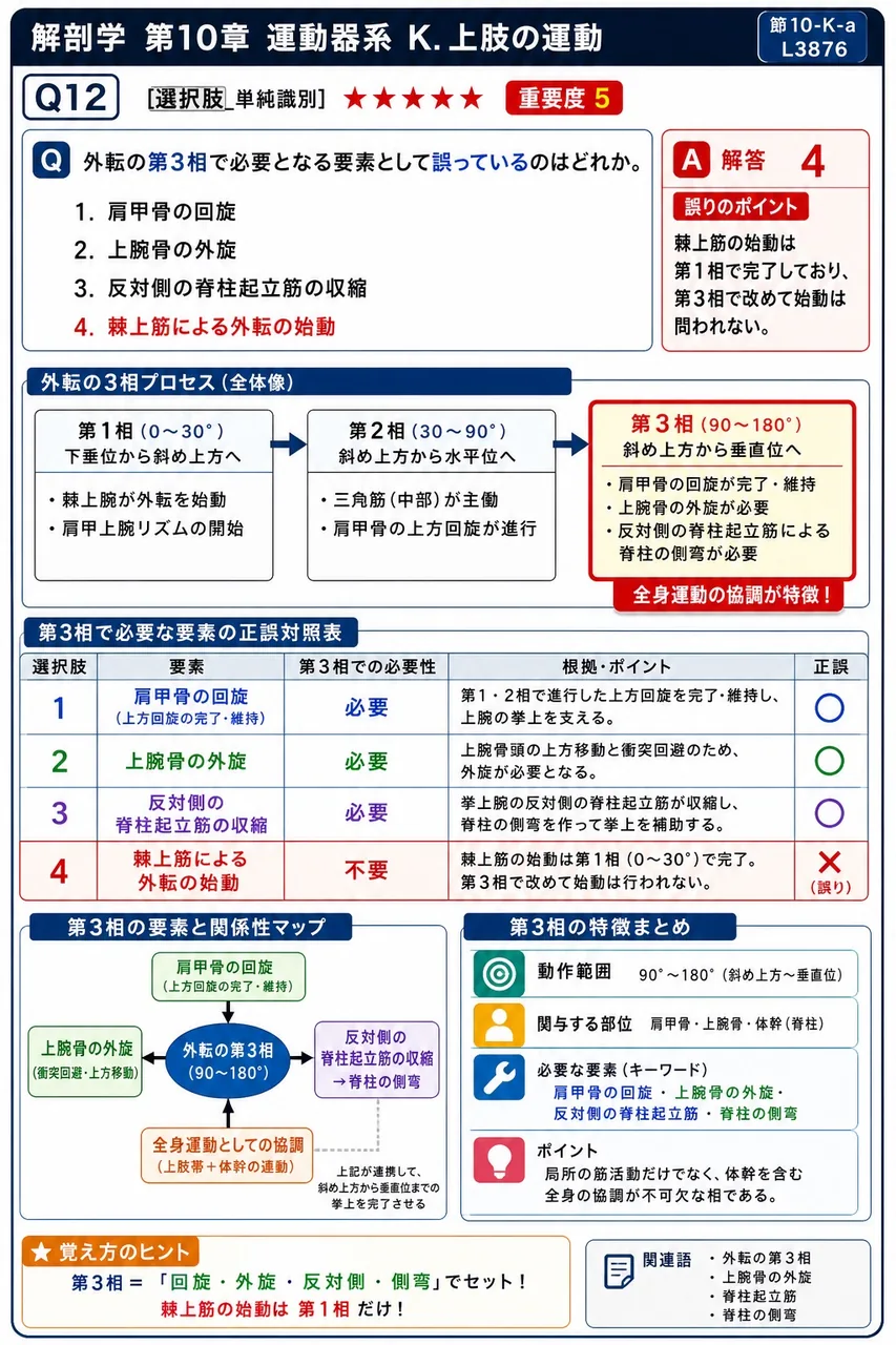 外転の第3相で必要となる要素として誤っているのはどれか。 解説図