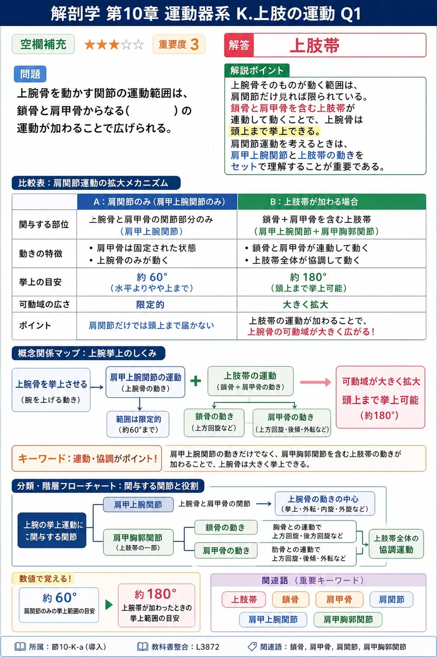 肩関節における運動範囲拡大の機構について、概念の重なりを表現した記述として正しいのはどれか。 解説図