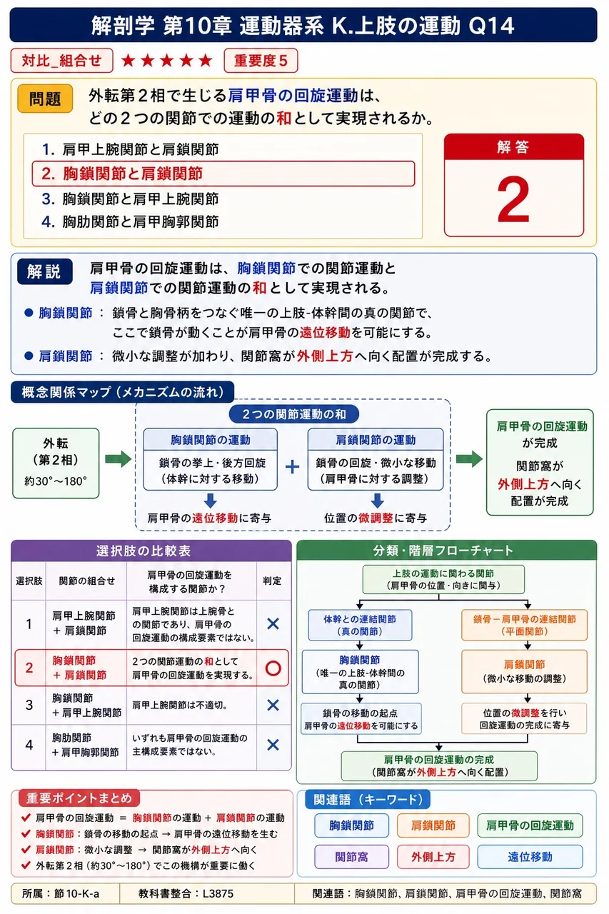 前腕が回外位にあるときに肘屈曲に最も強力な力を発揮する筋はどれか。 解説図