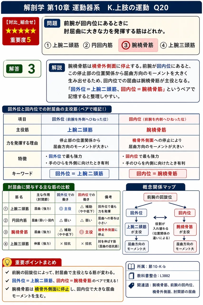 前腕が回内位にあるときに肘屈曲に大きな力を発揮する筋はどれか。 解説図