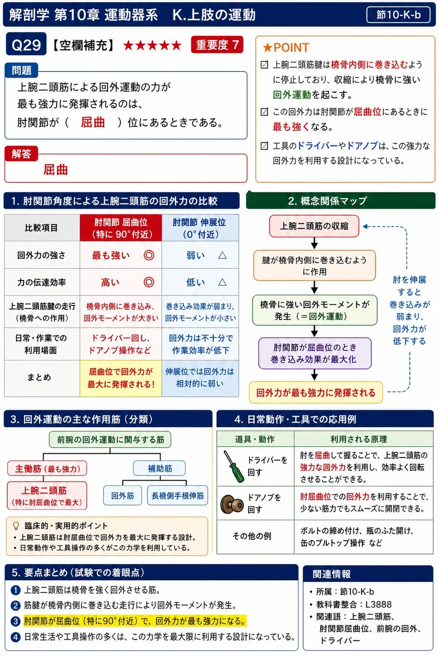 上腕二頭筋による回外運動の力が最も強力に発揮されるのは、肘関節が( )位にあるときである。 解説図