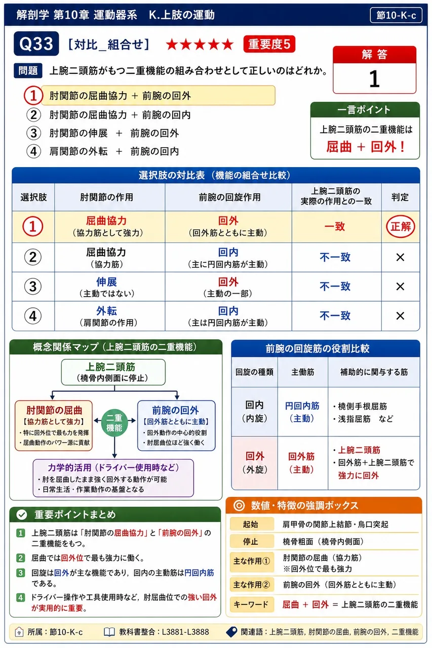上腕二頭筋がもつ二重機能の組み合わせとして正しいのはどれか。 解説図
