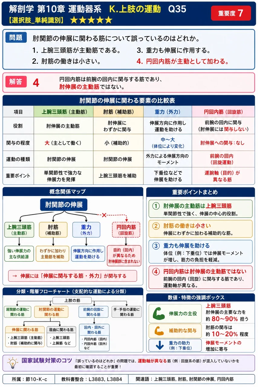 肘関節の伸展に関わる筋について誤っているのはどれか。 解説図