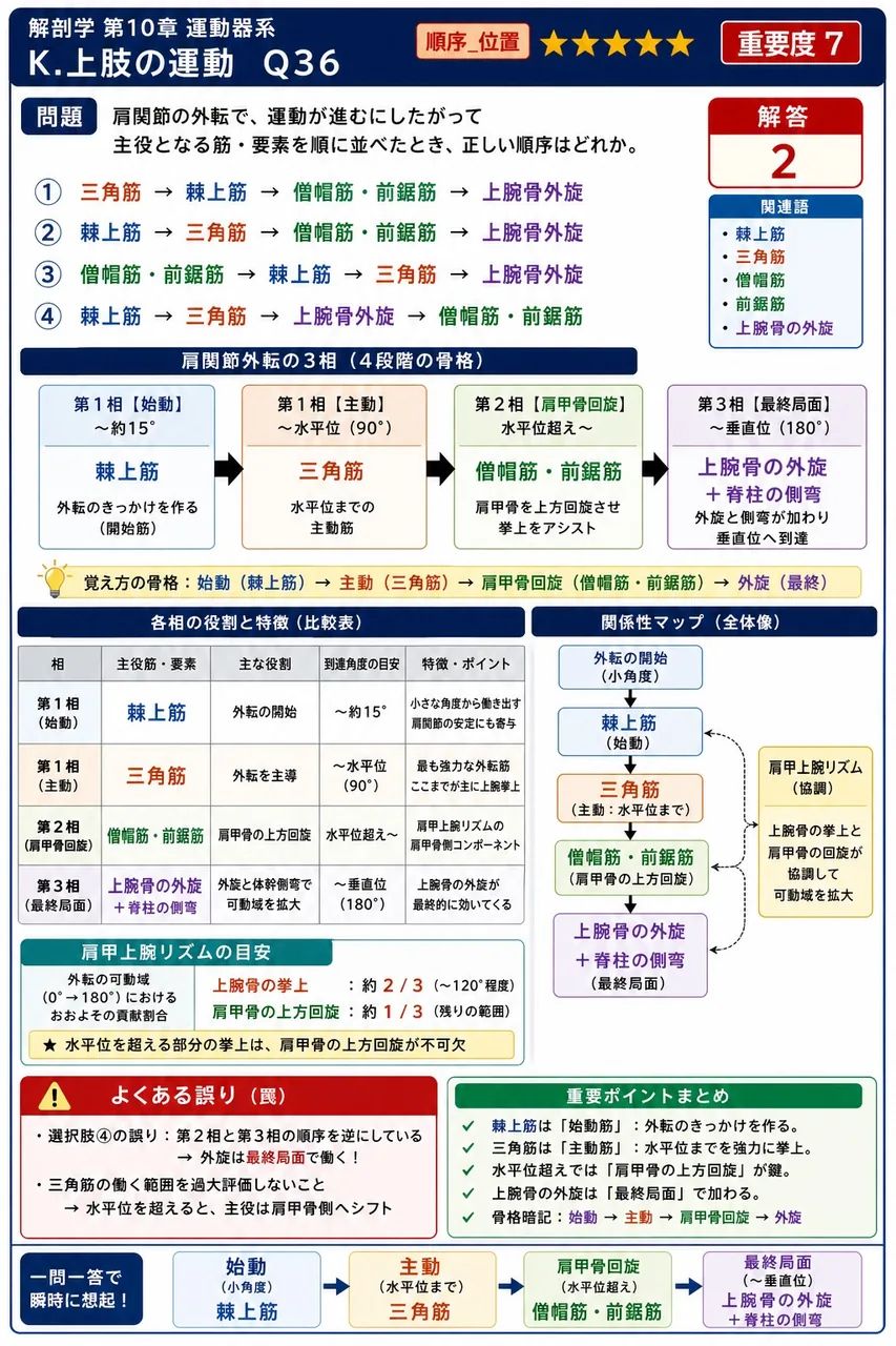 肩関節の外転で、運動が進むにしたがって主役となる筋・要素を順に並べたとき、正しい順序はどれか。 解説図