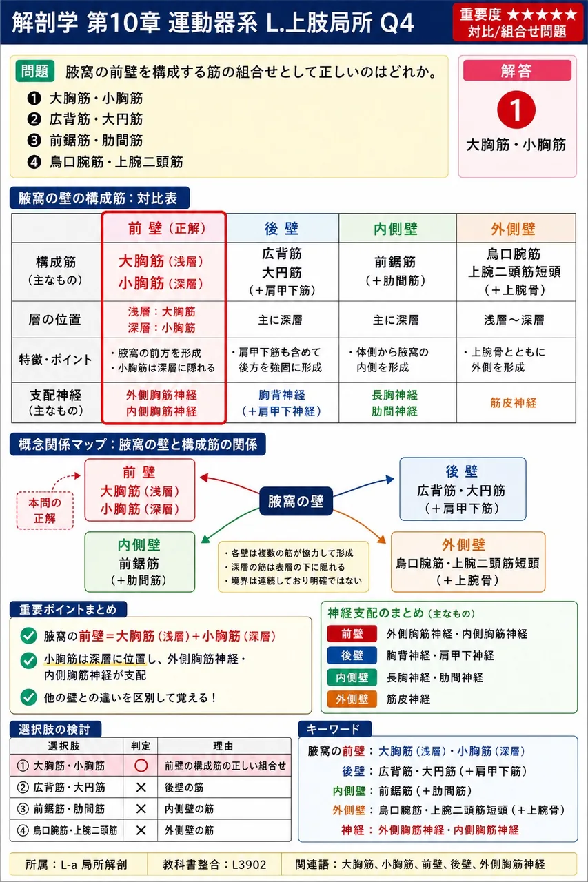 腋窩の前壁を構成する筋の組合せとして正しいのはどれか。 解説図