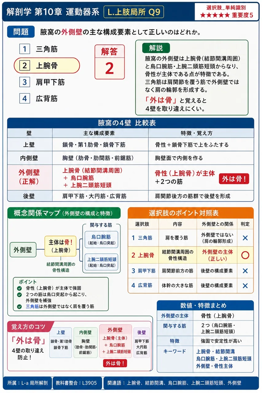 腋窩の外側壁の主な構成要素として正しいのはどれか。 解説図