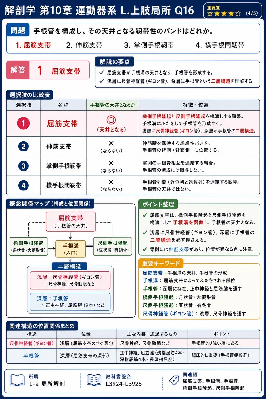 手根管を構成し、その天井となる靱帯性のバンドはどれか。 解説図