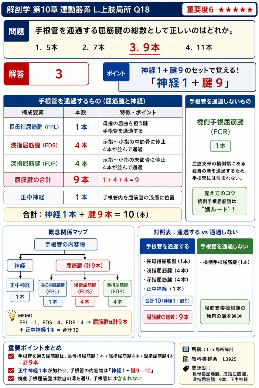 手根管を通過する屈筋腱の総数として正しいのはどれか。 解説図
