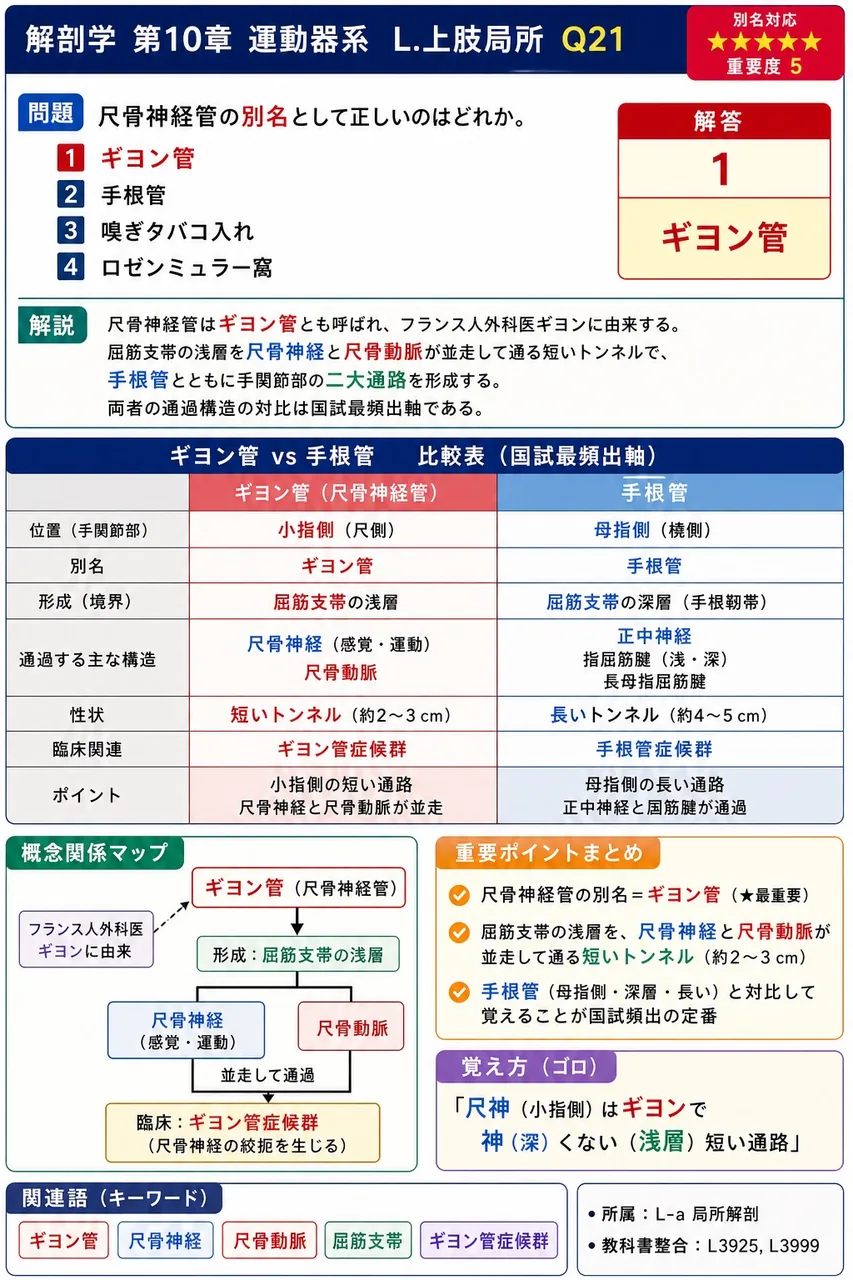 尺骨神経管の別名として正しいのはどれか。 解説図