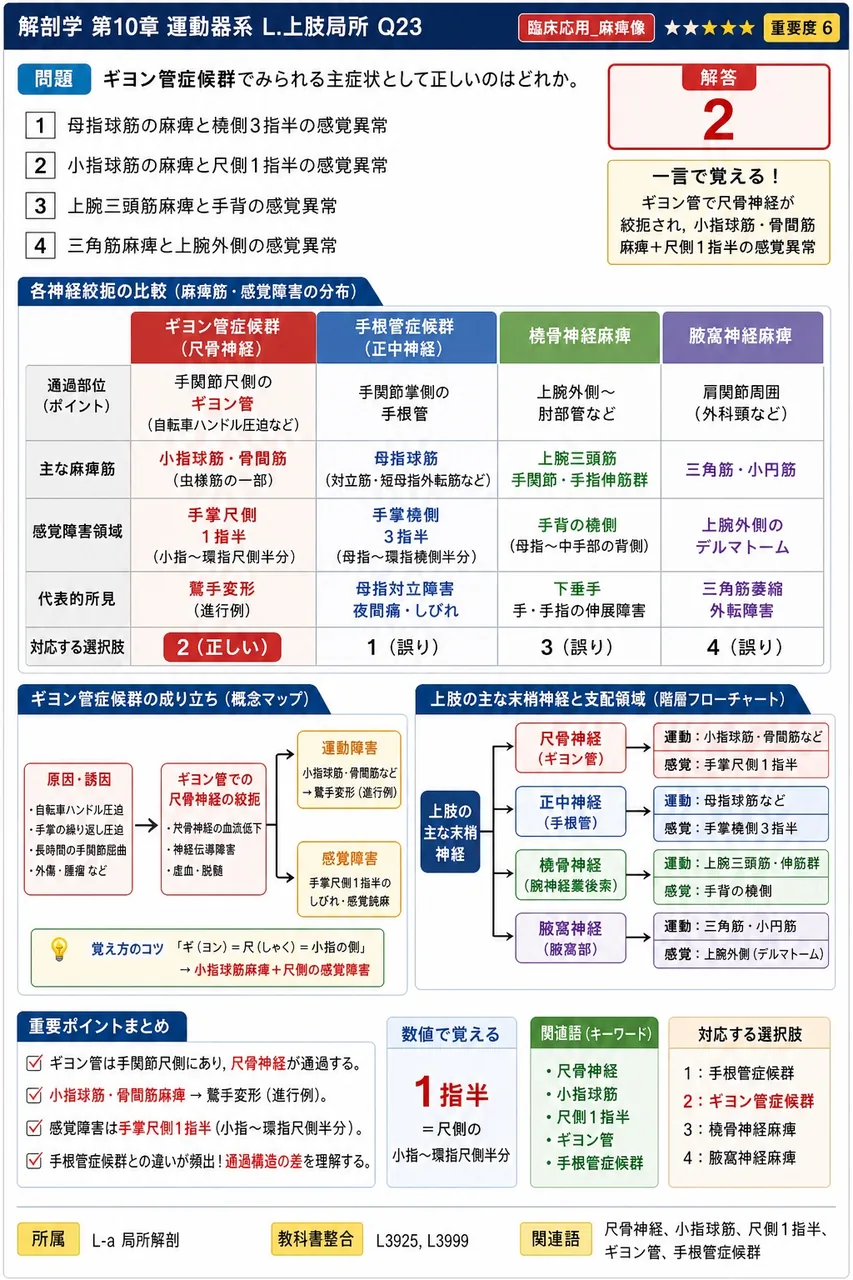 ギヨン管症候群でみられる主症状として正しいのはどれか。 解説図