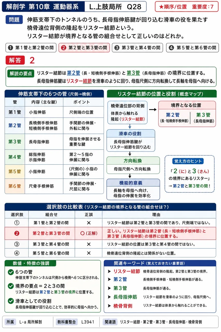 伸筋支帯下のトンネルのうち、長母指伸筋腱が回り込む滑車の役を果たす橈骨遠位背側の隆起をリスター結節という。リスター結節が境界となる管の組合せとして正しいのはどれか。 解説図