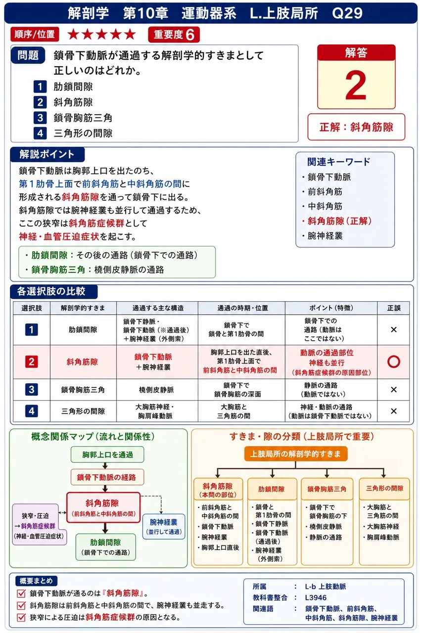 鎖骨下動脈が通過する解剖学的すきまとして正しいのはどれか。 解説図