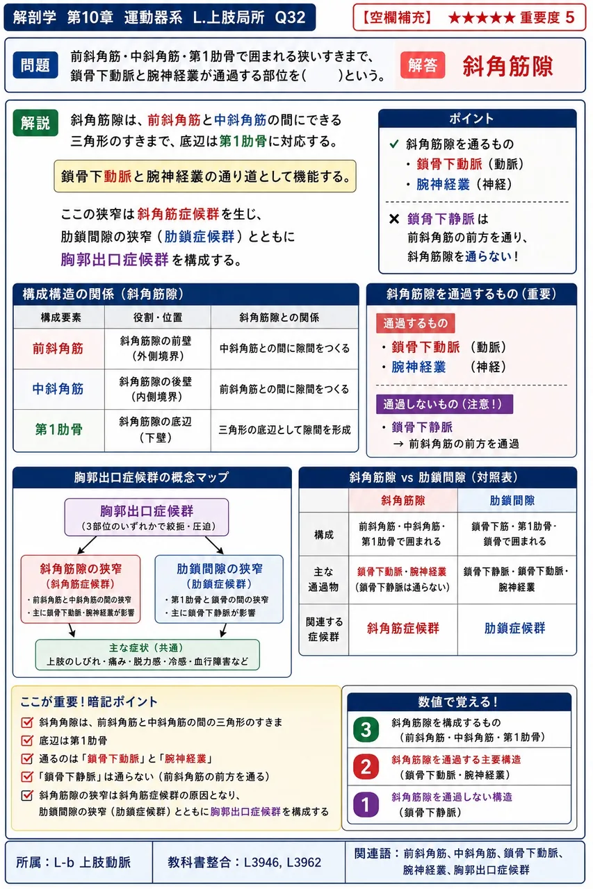 前斜角筋・中斜角筋・第1肋骨で囲まれる狭いすきまで、鎖骨下動脈と腕神経叢が通過する部位を( )という。 解説図