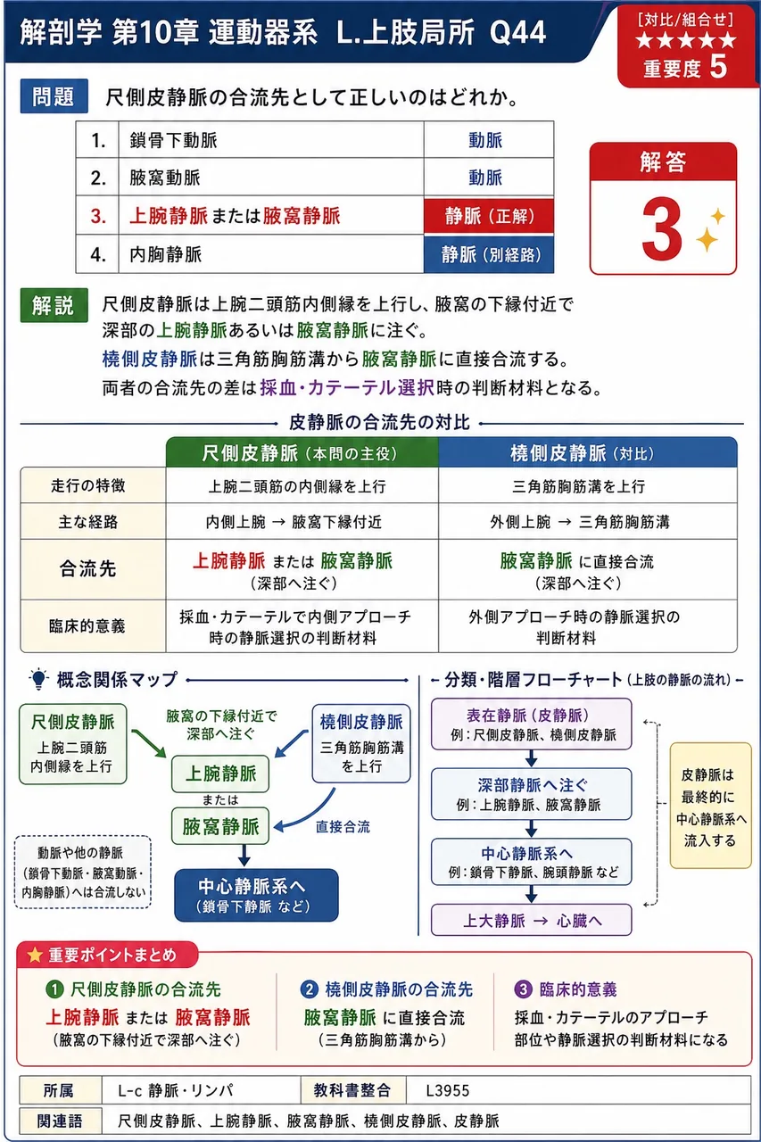 尺側皮静脈の合流先として正しいのはどれか。 解説図