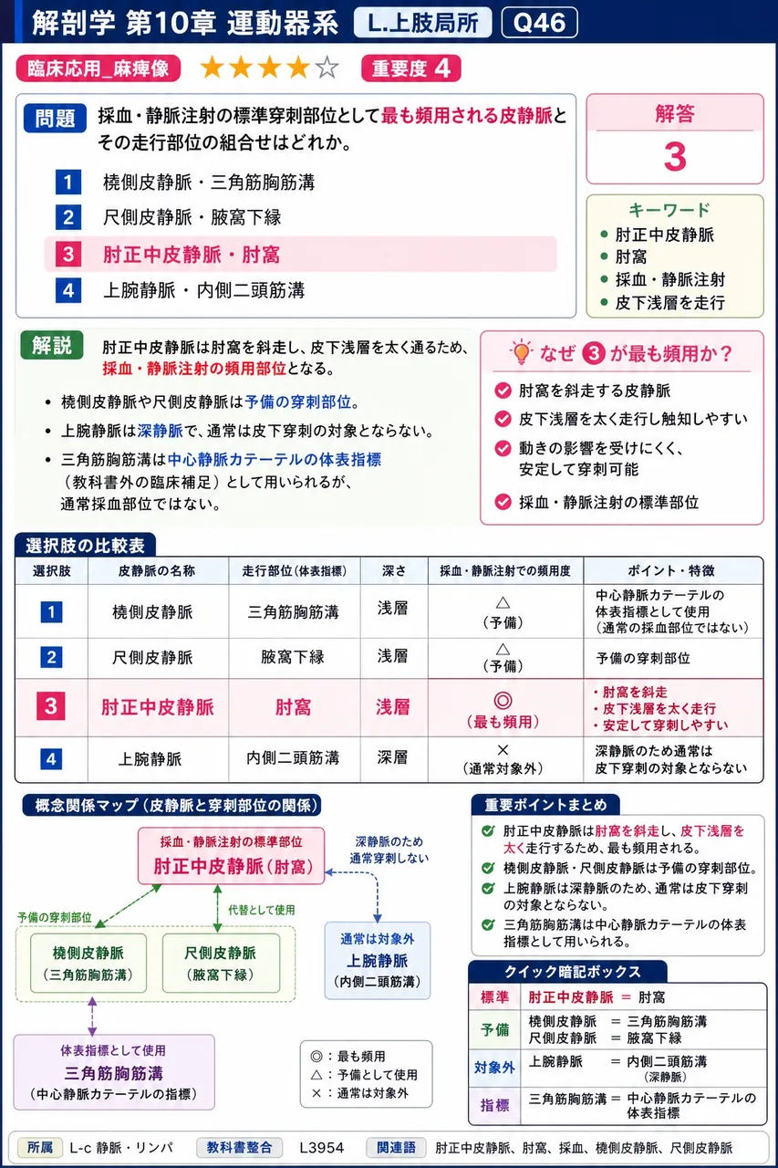 採血・静脈注射の標準穿刺部位として最も頻用される皮静脈とその走行部位の組合せはどれか。 解説図