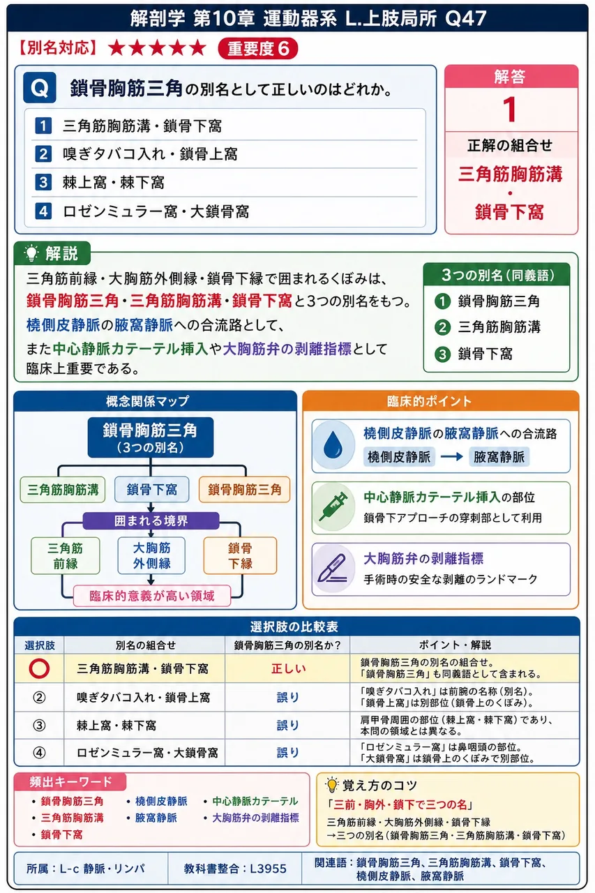 鎖骨胸筋三角の別名として正しいのはどれか。 解説図