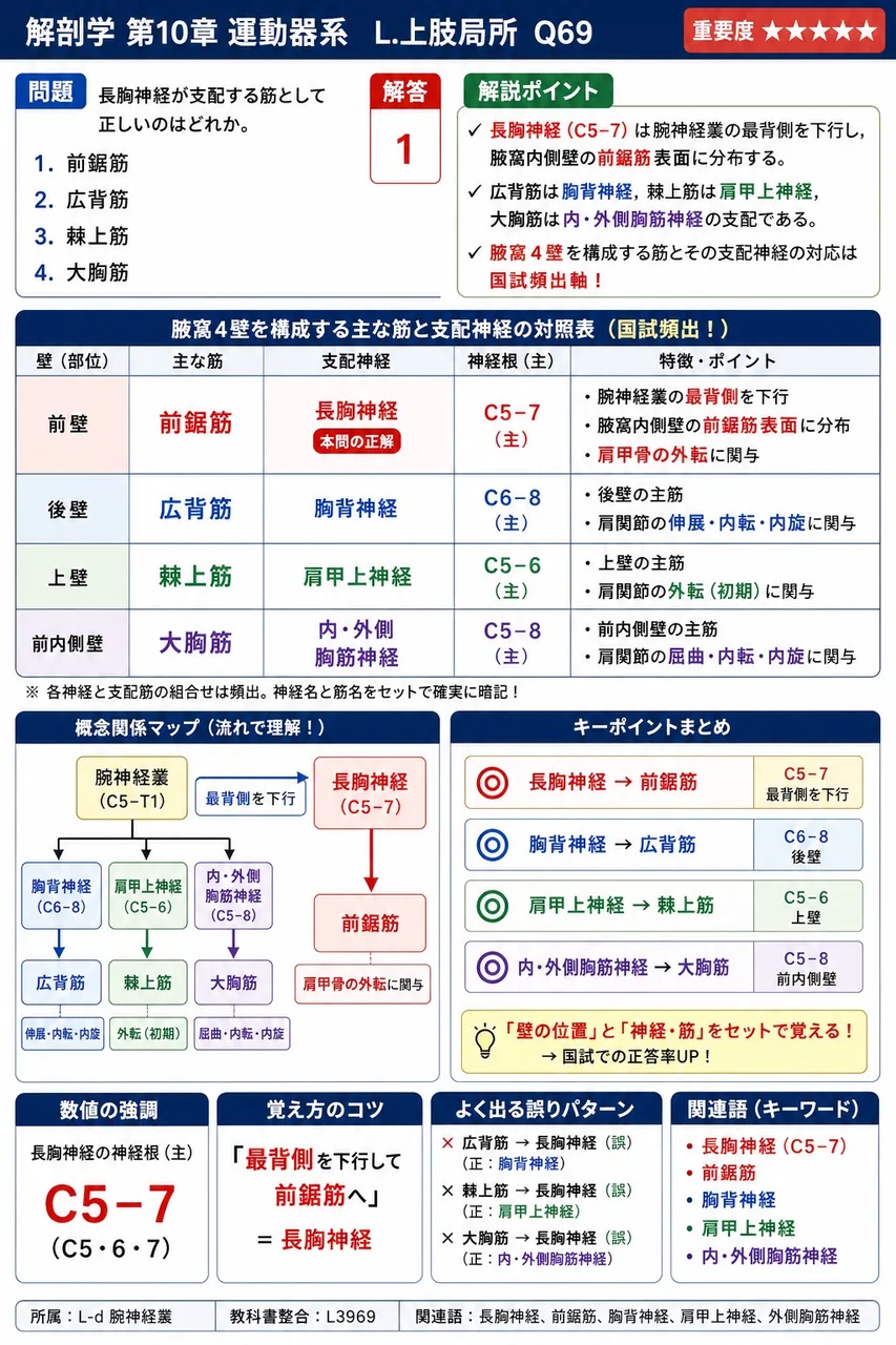 長胸神経が支配する筋として正しいのはどれか。 解説図