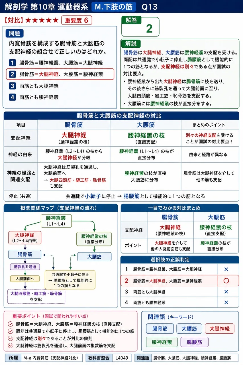 内寛骨筋を構成する腸骨筋と大腰筋の支配神経の組合せで正しいのはどれか。 解説図