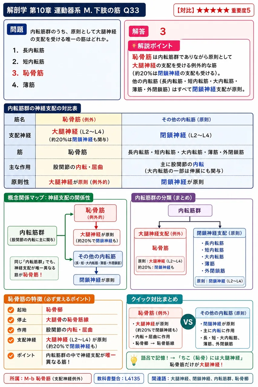 内転筋群のうち、原則として大腿神経の支配を受ける唯一の筋はどれか。 解説図