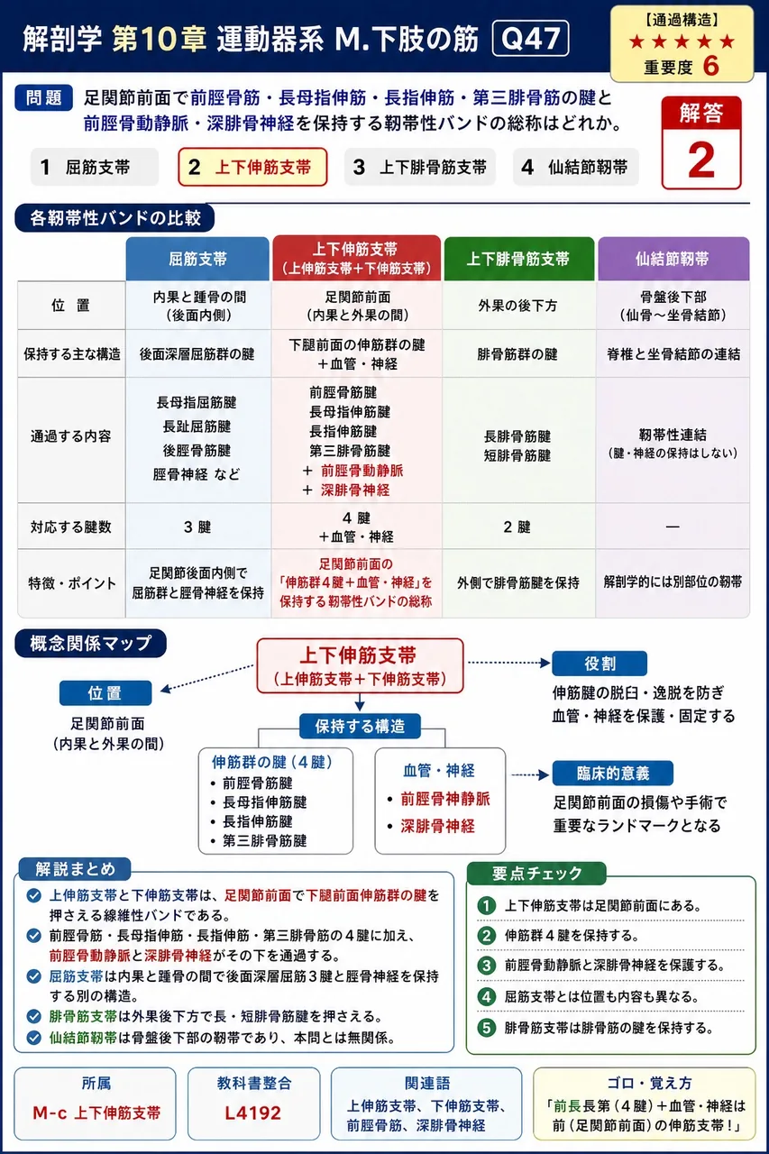 足関節前面で前脛骨筋・長母指伸筋・長指伸筋・第三腓骨筋の腱と前脛骨動静脈・深腓骨神経を保持する靭帯性バンドの総称はどれか。 解説図