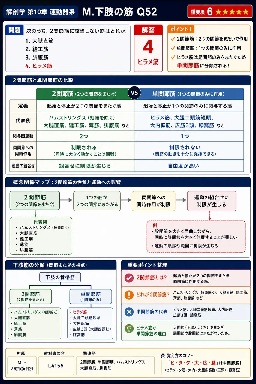 次のうち、2関節筋に該当しない筋はどれか。 解説図