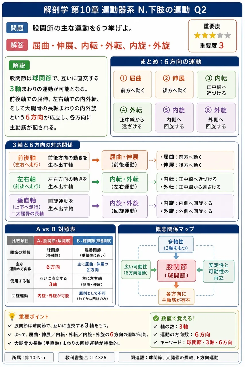 股関節の主な運動を6つ挙げよ。 解説図