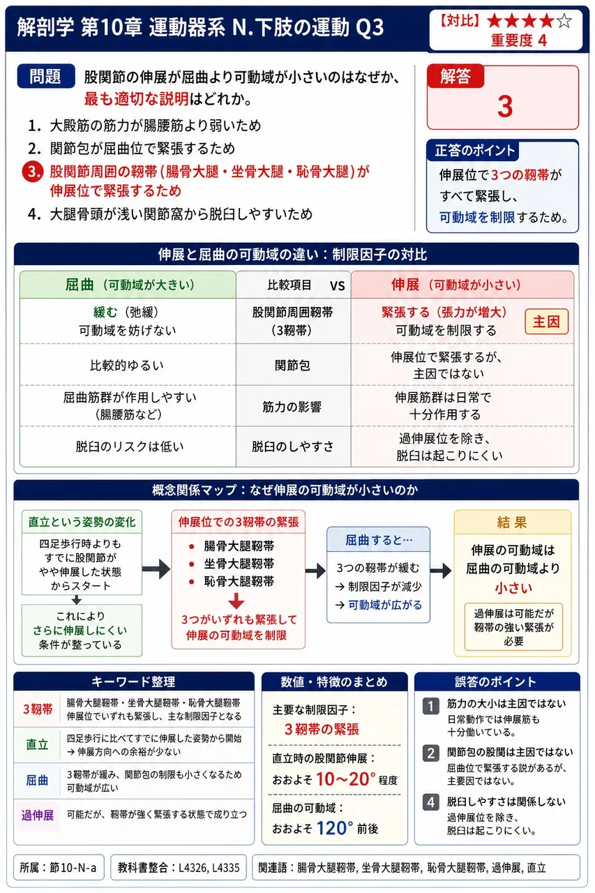 股関節の伸展が屈曲より可動域が小さいのはなぜか、最も適切な説明はどれか。 解説図