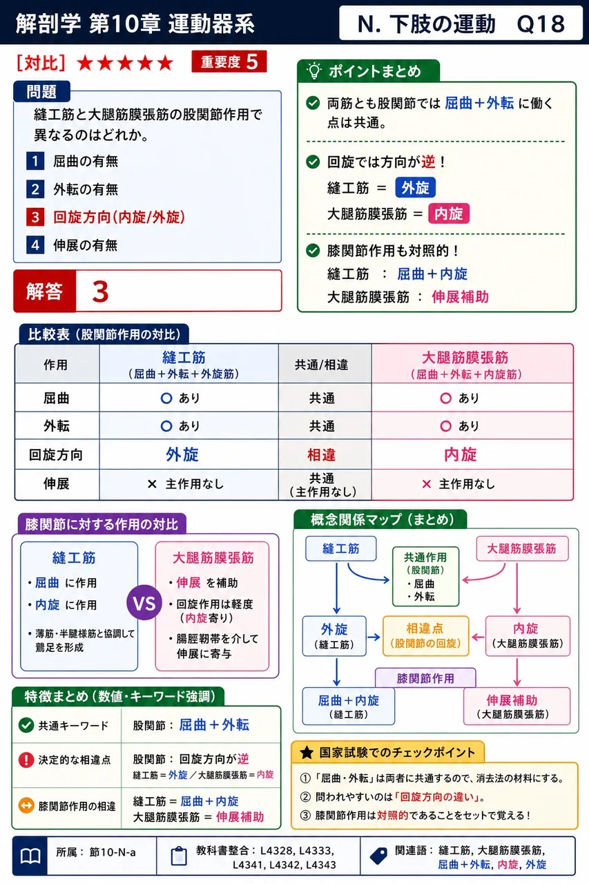 縫工筋と大腿筋膜張筋の股関節作用で異なるのはどれか。 解説図