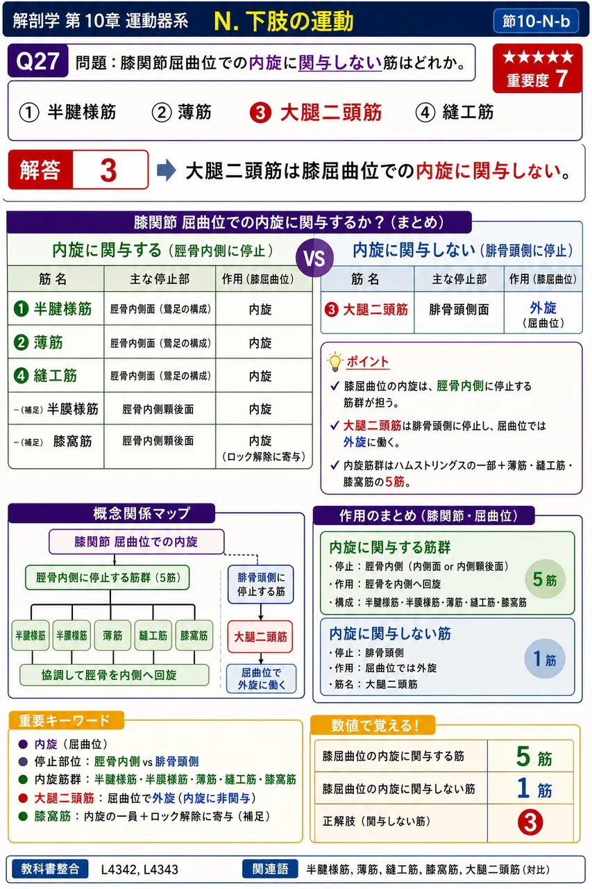 膝関節屈曲位での内旋に関与しない筋はどれか。 解説図